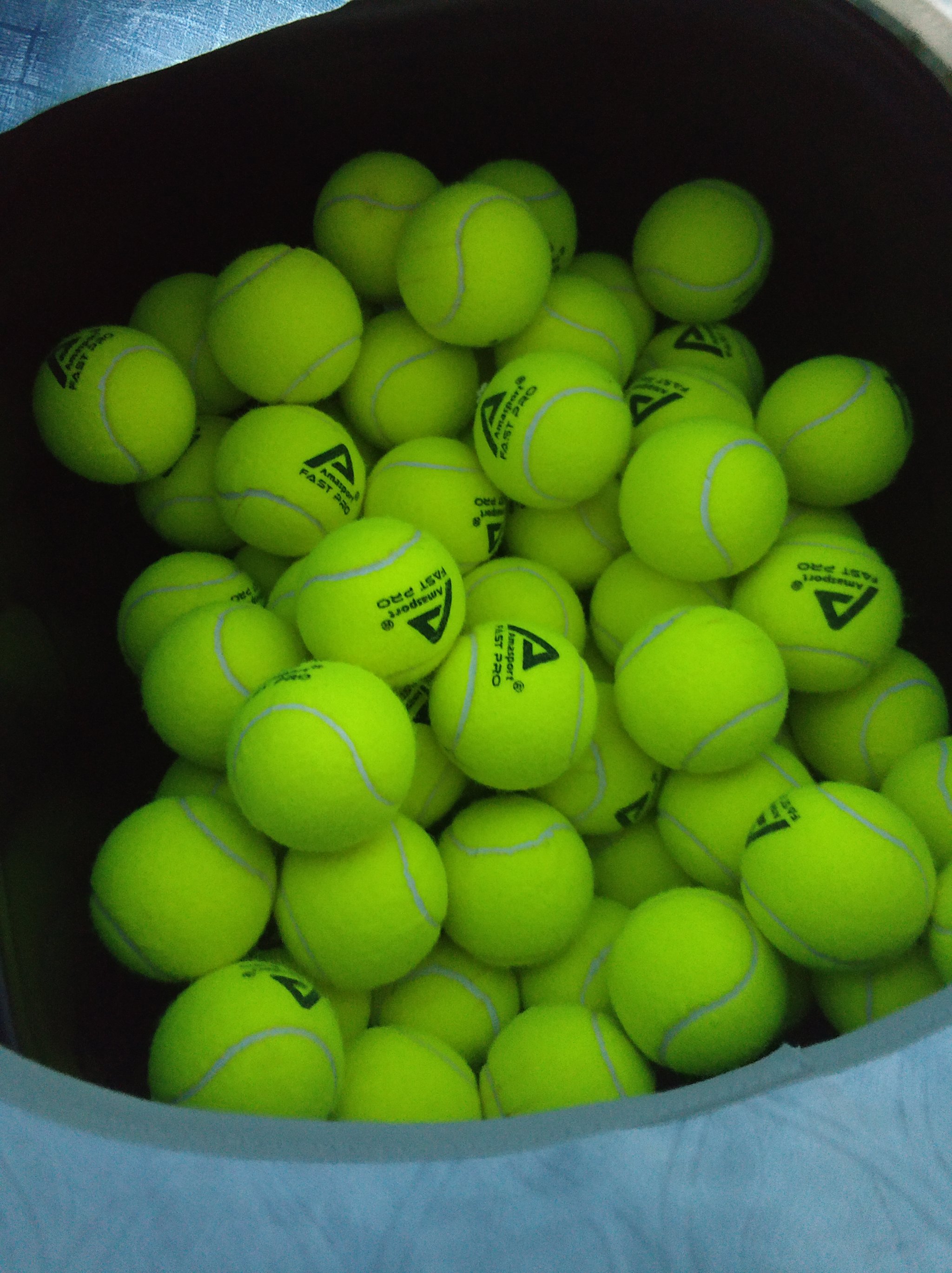 奧薩蘇納的 奧薩蘇納的